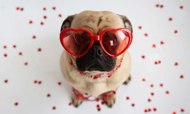 Be my Valentine